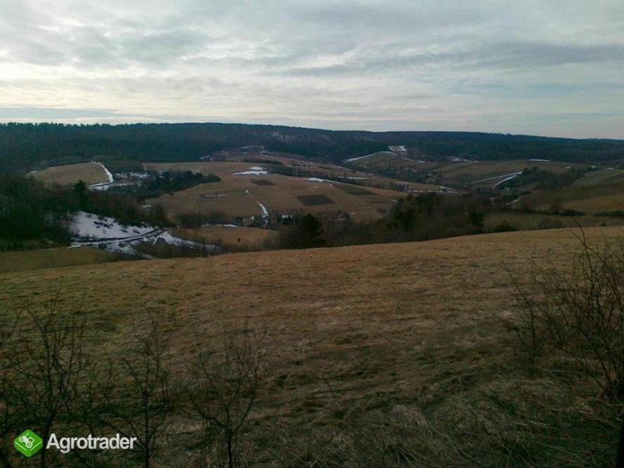 Ekoturystyka Natura Gwiazd - Green Velo - Workation Park - Ziolowy Klimat Bieszczad Dubiecko Bagian luar foto